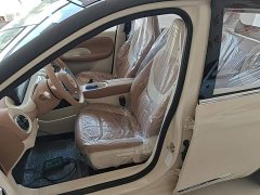 Wuling Binguo 2025 333km Joy Edition - ფოტო 15