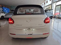 Wuling Binguo 2025 333km Joy Edition - ფოტო 6