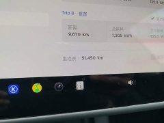 Tesla Model 3 2022 Rear-Wheel Drive - ფოტო 12