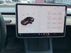 Tesla Model 3 2022 Rear-Wheel Drive - ფოტო 13