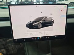 Tesla Model 3 2023 Rear-Wheel Drive - ფოტო 13