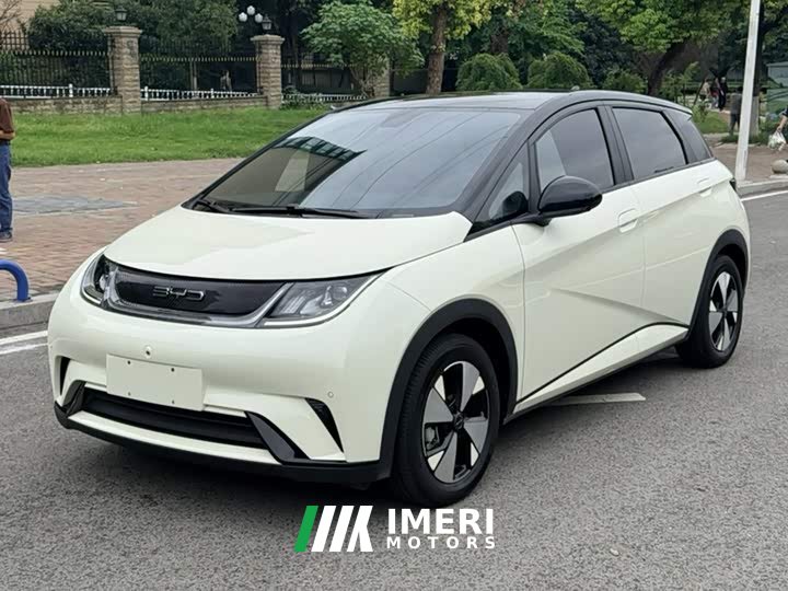 BYD Dolphin 420km Fashion Edition - ავტომობილი ჩინეთიდან