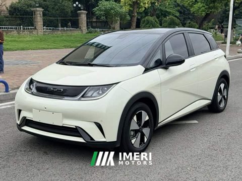 2023 BYD Dolphin 420km Fashion Edition - ავტომობილი ჩინეთიდან