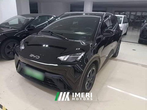 2024 BYD Seagull Glory Edition 305km Freedom Version - ავტომობილი ჩინეთიდან