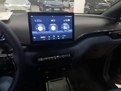 BYD Seagull Glory Edition 305km Freedom Version - ფოტო 10