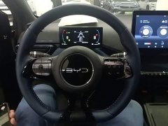 BYD Seagull Glory Edition 305km Freedom Version - ფოტო 11
