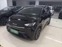 BYD Seagull Glory Edition 305km Freedom Version - ფოტო 2