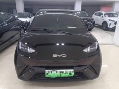 BYD Seagull Glory Edition 305km Freedom Version - ფოტო 20