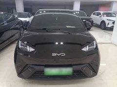 BYD Seagull Glory Edition 305km Freedom Version - ფოტო 3