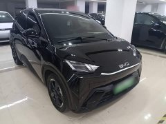 BYD Seagull Glory Edition 305km Freedom Version - ფოტო 4