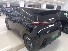 BYD Seagull Glory Edition 305km Freedom Version - ფოტო 5