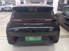 BYD Seagull Glory Edition 305km Freedom Version - ფოტო 6
