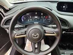 Mazda CX-30 EV 2021 Pure Electric Comfort Edition - ფოტო 11