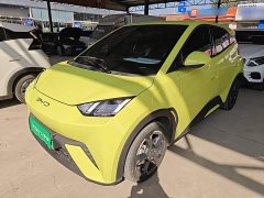 BYD Seagull Freedom Edition - ფოტო 2