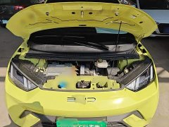 BYD Seagull Freedom Edition - ფოტო 20