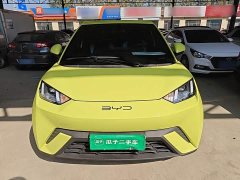 BYD Seagull Freedom Edition - ფოტო 3