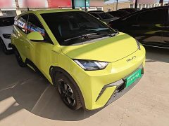BYD Seagull Freedom Edition - ფოტო 4