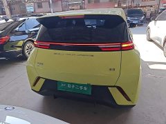 BYD Seagull Freedom Edition - ფოტო 6