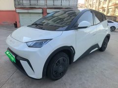 BYD Seagull 2023 Vitality Edition - ფოტო 1