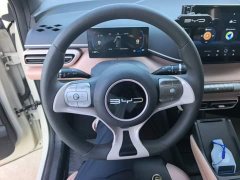 BYD Seagull 2023 Vitality Edition - ფოტო 11