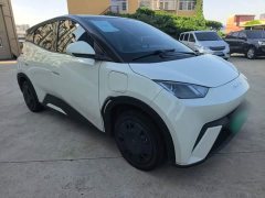 BYD Seagull 2023 Vitality Edition - ფოტო 4