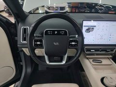 Li Auto L9 Pro - ფოტო 11