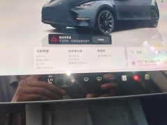 Tesla Model Y Long Range All-Wheel Drive - ფოტო 12