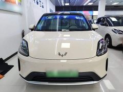 Wuling Bingguo S 325km Deluxe Edition - ფოტო 3