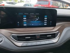 Ford Lingyue EcoBoost 225 Premium Plus 6-Seater - ფოტო 13