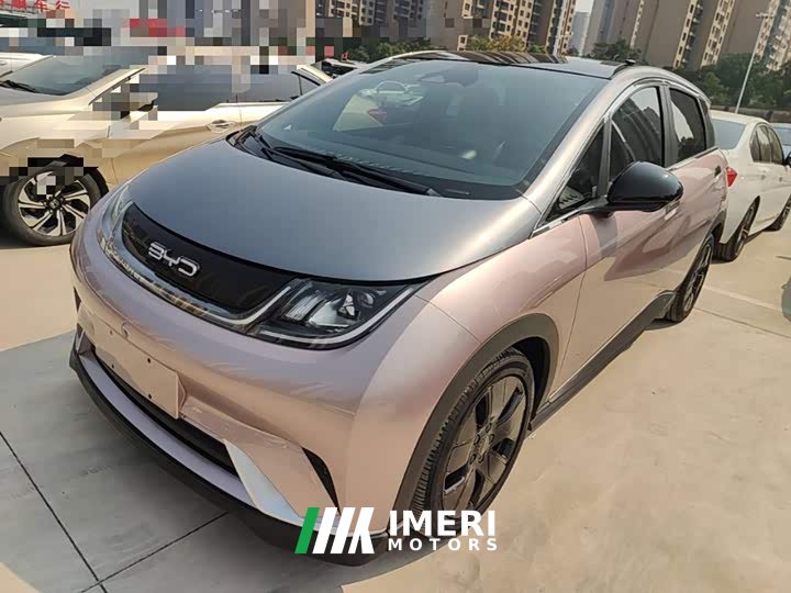 BYD Dolphin 401km Knight Edition - ავტომობილი ჩინეთიდან