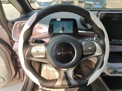 BYD Dolphin 401km Knight Edition - ფოტო 11