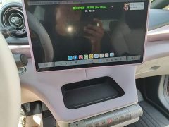 BYD Dolphin 401km Knight Edition - ფოტო 13