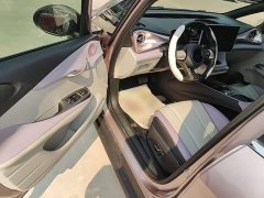 BYD Dolphin 401km Knight Edition - ფოტო 16