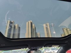 BYD Dolphin 401km Knight Edition - ფოტო 18