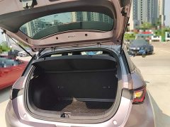 BYD Dolphin 401km Knight Edition - ფოტო 19