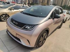 BYD Dolphin 401km Knight Edition - ფოტო 2