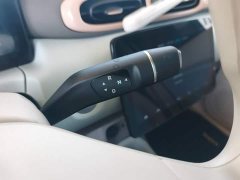 Leapmotor T03 310 Comfort Edition - ფოტო 14