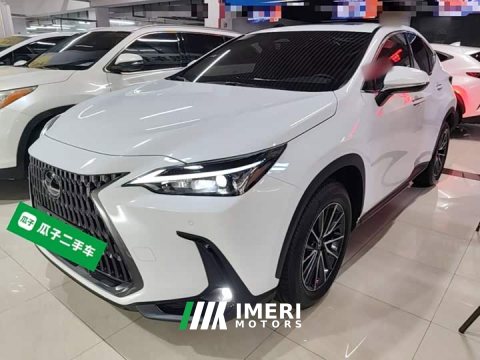 2026 Lexus NX 2025 200 FUN - ავტომობილი ჩინეთიდან