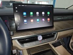 Tank 500 3.0T Sport Landscape Edition 5-Seater - ფოტო 13