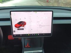 Tesla Model 3 Rear-Wheel Drive - ფოტო 13