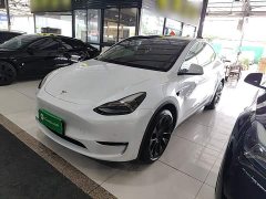 Tesla Model Y Long Range All-Wheel Drive - ფოტო 1