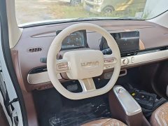 Changan Lumin Treasure Edition 205km Cool Love White CATL - ფოტო 11
