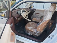 Changan Lumin Treasure Edition 205km Cool Love White CATL - ფოტო 16
