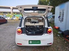 Changan Lumin Treasure Edition 205km Cool Love White CATL - ფოტო 19