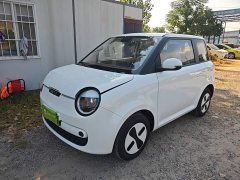 Changan Lumin Treasure Edition 205km Cool Love White CATL - ფოტო 2