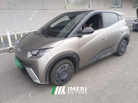 2024 BYD Seagull 2025 305km Vitality Edition - ავტომობილი ჩინეთიდან