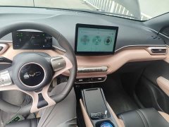 BYD Seagull 2025 305km Vitality Edition - ფოტო 10