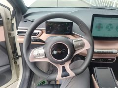 BYD Seagull 2025 305km Vitality Edition - ფოტო 11