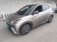 BYD Seagull 2025 305km Vitality Edition - ფოტო 2