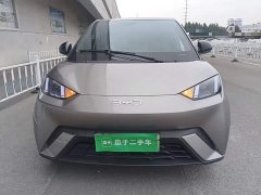 BYD Seagull 2025 305km Vitality Edition - ფოტო 3